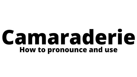 how to say camaraderie.